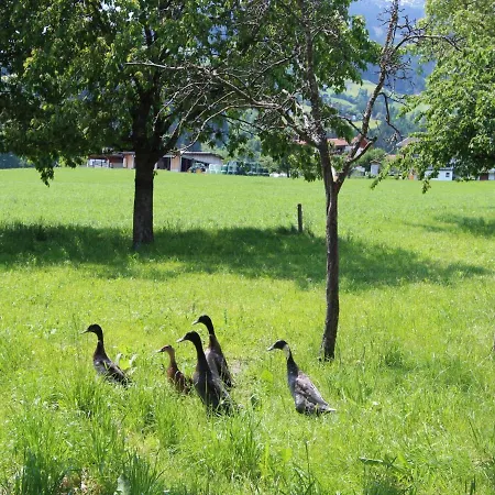 Gasteighof-5 By Interhome